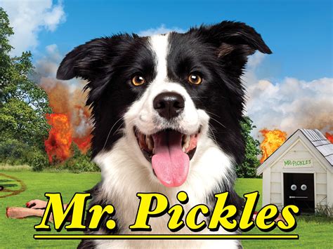 Prime Video: Mr Pickles - Season 4