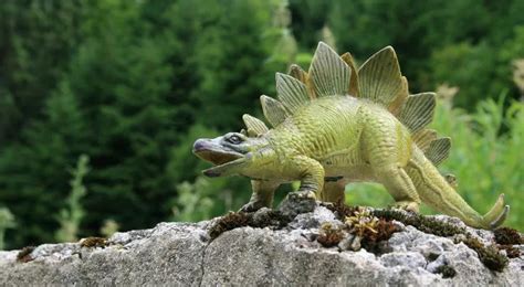 10 Shocking Facts About The Stegosaurus - The Fact Site