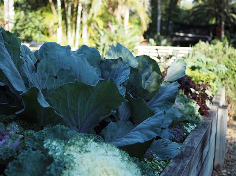 Brookfield Gardens: Brisbane’s top retail destination for gardeners