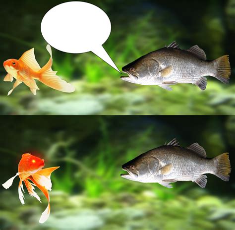 Fish Trigger meme Blank Template - Imgflip