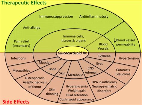 Glucocorticoids function, excess, deficiency, resistance and treatment