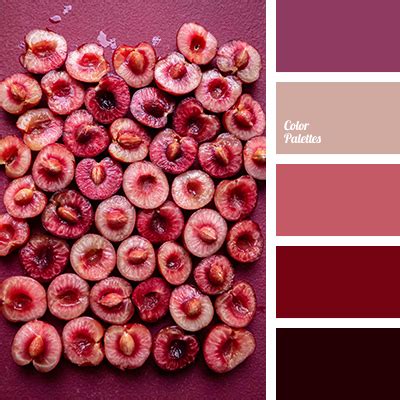 shades of burgundy | Color Palette Ideas