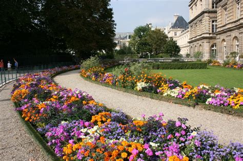 Images Gratuites : pelouse, fleur, Paris, parc, flore, jardin botanique, Luxembourg, cour ...