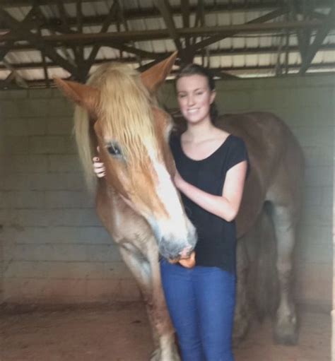 17 hh belgian draft gelding next to me, a 5'9 woman | Gelding, Horses, Animals