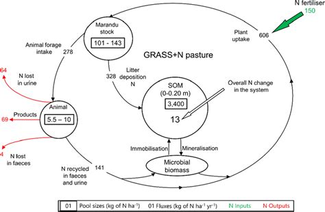 Schematic of the nitrogen annual cycle in a Marandu palisadegrass ...