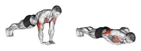 Diamond Push-ups: Benefits, Muscles Used, and More - Inspire US