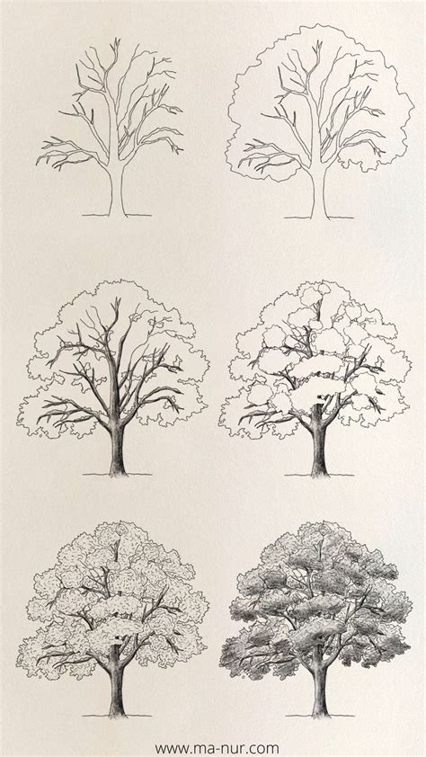 four different types of trees in black and white, each with the same color scheme