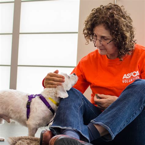 What It Takes to Be a Volunteer at a Dog Shelter