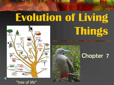 PPT - Evolution of Living Things PowerPoint Presentation, free download ...