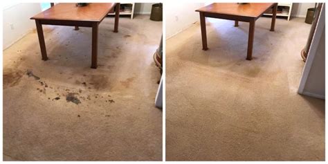 Before & After Carpet Cleaning | McGeorge Brothers Chem-Dry