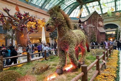 Bellagio Conservatory & Botanical Gardens – Stock Editorial Photo ...