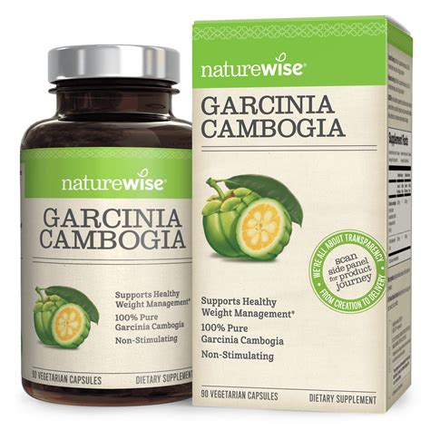 NatureWise Garcinia Cambogia 500mg Weight Loss Pills, 90 Ct - Walmart ...