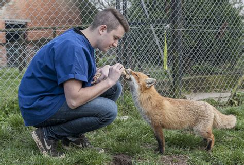 Secret World Wildlife Rescue Centre