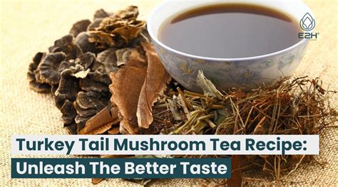 Turkey Tail Mushroom Tea Recipe: Unleash The Better Taste