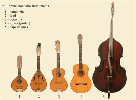 Getting To Know The Rondalla Instruments, 58% OFF