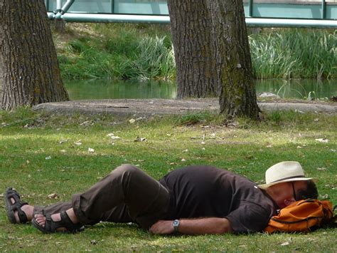 Demostrado: ¡echarse la siesta mejora la productividad laboral! - trabajemos.cl