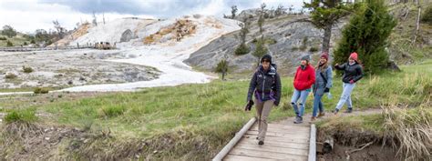 Yellowstone Hiking 101 - Yellowstone Forever