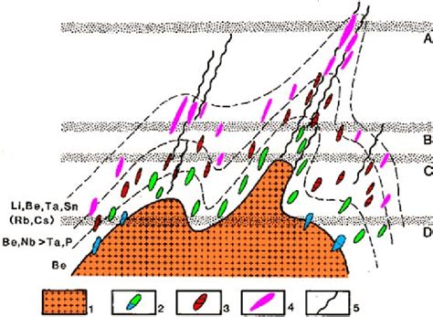 Schematic vertical section through a zoned fertile granite-pegmatite ...