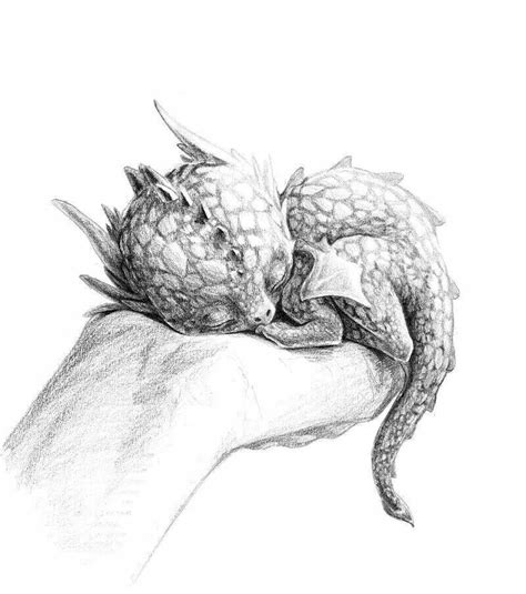 Baby dragon | Dragon sketch, Dragon art, Baby dragon