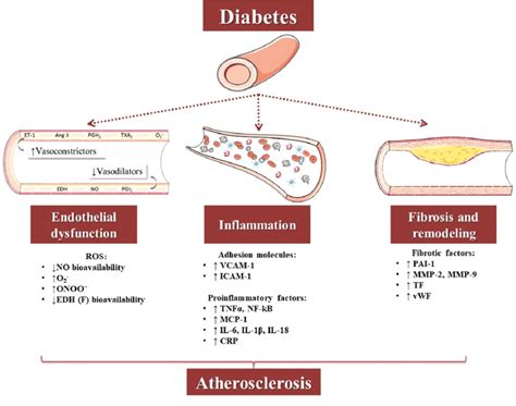 Diabetes Microvascular And Macrovascular Complications - DiabetesWalls