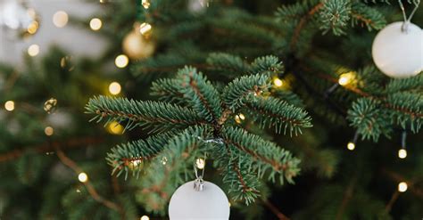 White Baubles on Green Christmas Tree · Free Stock Photo