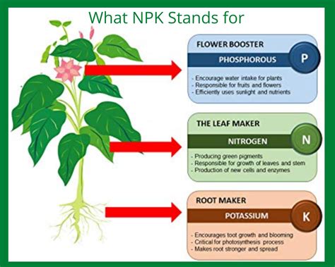 What Does NPK Stand For? (Fertilizer Label Meaning) | Fertilizer for ...