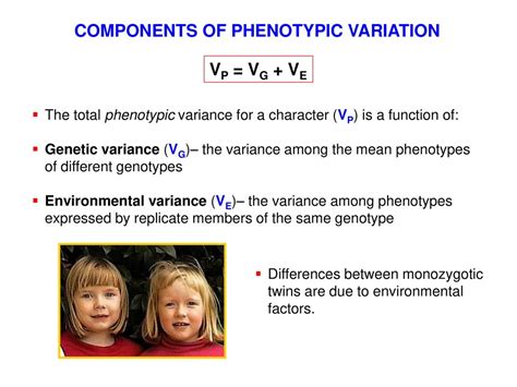 NORMAL DISTRIBUTIONS OF PHENOTYPES - ppt download