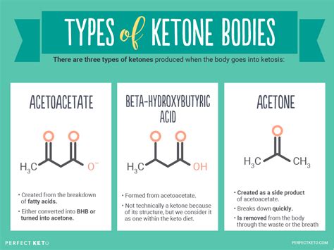 The Ketogenic Diet: Fueling the Body with Fat | Dirt to Dinner