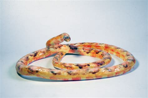 red albino corn snake (2020) - Josiane Keller