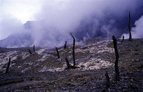 Photos of Papandayan volcano, West Java, Indonesia