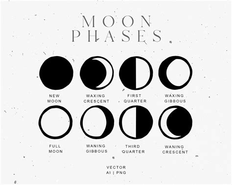 Astrology Zodiac Symbols Moon Phases Planet Zodiac Signs - Etsy