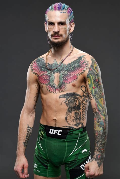 What do you honestly think of Sean O' Malley? : r/ufc