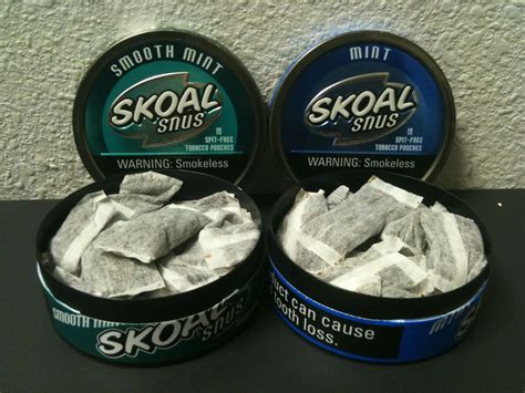 best tobacco dip pouches