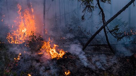 Canadian Wildfires, Bigger Than Ever, Test Foreign Firefighters - The ...