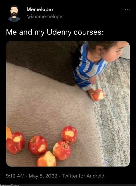 Me and my Udemy courses – ProgrammerHumor.io