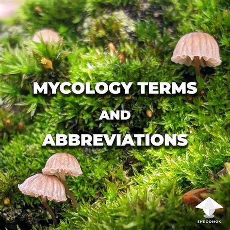 Mycology Glossary and common Mushroom Growing Abbreviations