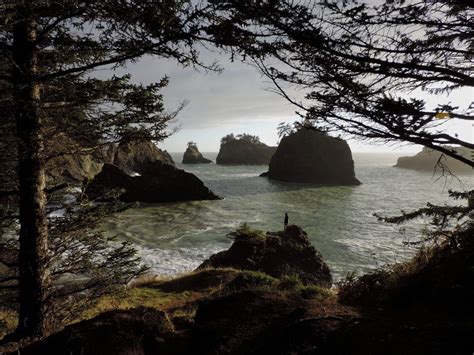 Secret coves on the Oregon Coast | Smithsonian Photo Contest ...