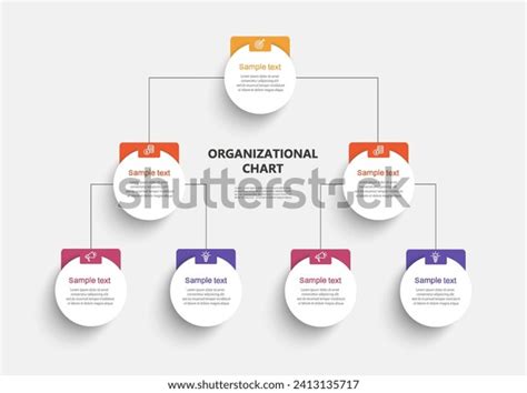 Business Hierarchy Organogram Chart Infographics Corporate Stock Vector ...