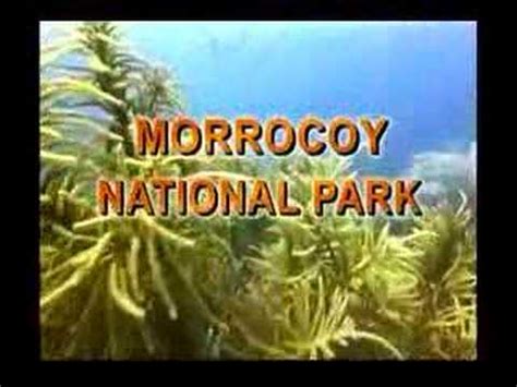 Morrocoy National Park - YouTube