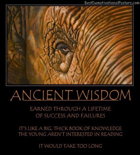 Ancient Wisdom - Demotivational Poster