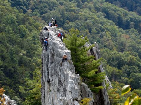 Seneca Rocks in West Virginia | West virginia, Seneca rocks, Places to ...