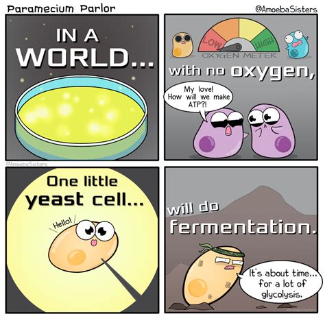 FERMENTATION HERO | Biology humor, Biology jokes, Fun science