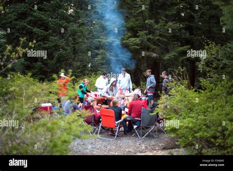 Group of friends having picnic in forest Stock Photo - Alamy