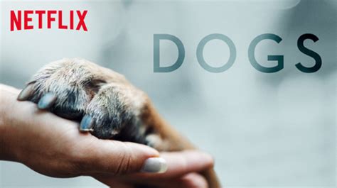 Dogs: Season Two Renewal Announced for Netflix Series - canceled ...