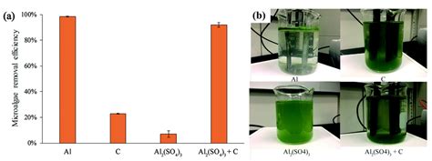 Applied Sciences | Free Full-Text | Flocculation Harvesting Techniques for Microalgae: A Review