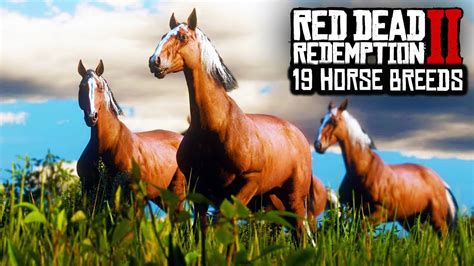 Red Dead Redemption 2 - 19 DIFFERENT HORSE BREEDS IN RDR2! RDR2 HORSES, ANIMALS, BIRDS & FISH ...