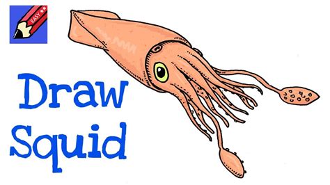 How to Draw a Squid Real Easy - YouTube