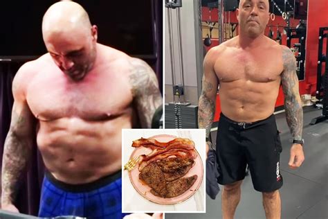 UFC legend Joe Rogan shows off dramatic body transformation via meat-only diet after being fat ...