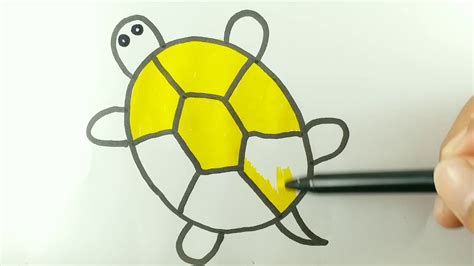 turtle drawing easy with colour - Kylee Becerra