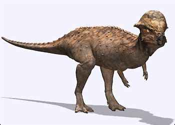 Prenocephale | Dinosaur Alive Wiki | FANDOM powered by Wikia